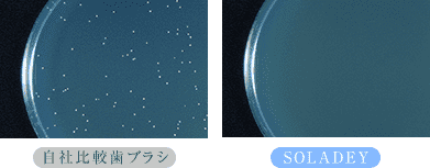 細菌の増殖を抑制実験写真